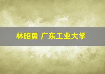 林昭勇 广东工业大学